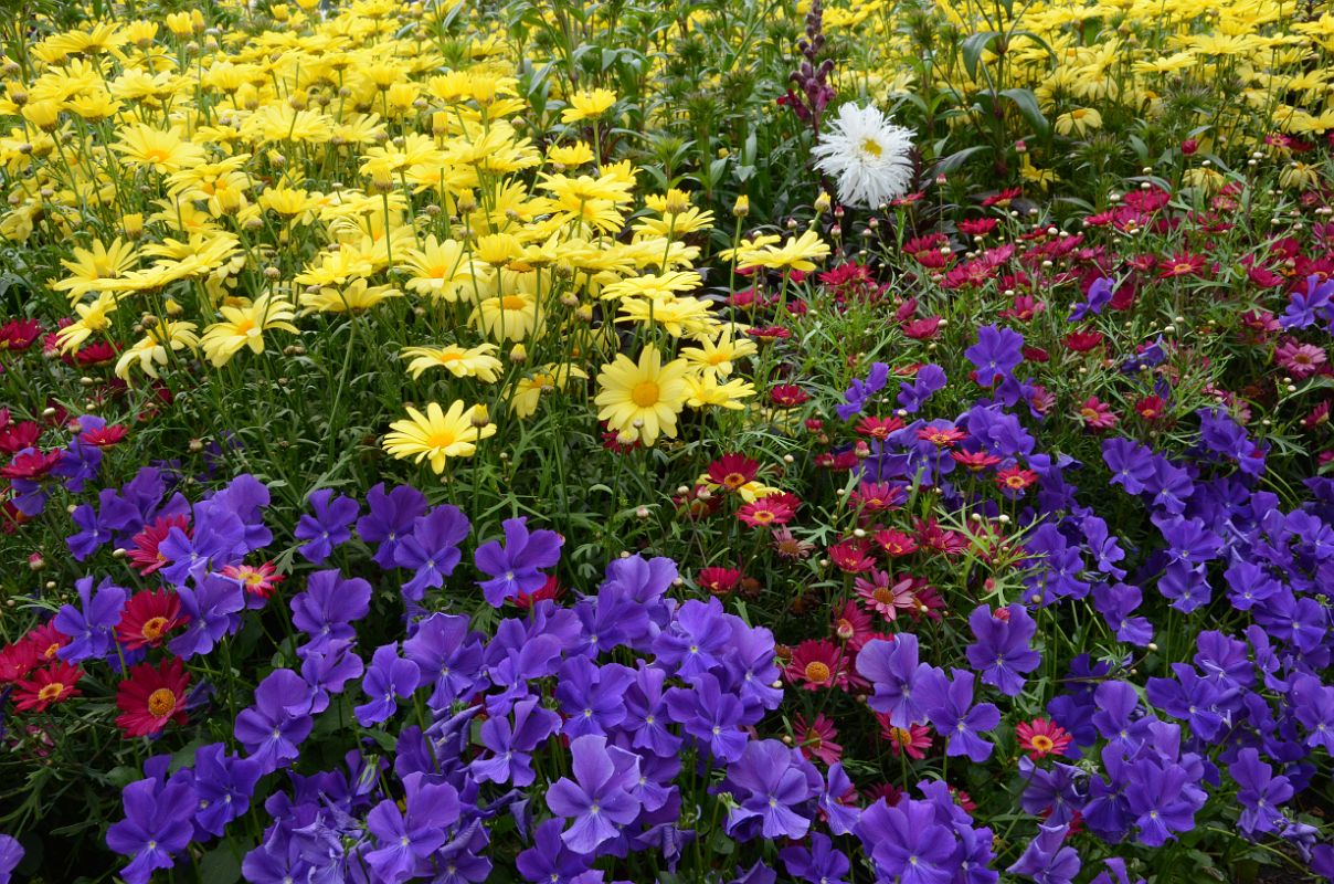 02E Flower Garden At Chateau Lake Louise Lakeside